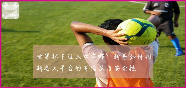 世界杯下注入口在哪？新手如何判断各大平台的可信度与安全性