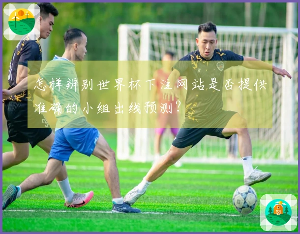 怎样辨别世界杯下注网站是否提供准确的小组出线预测？