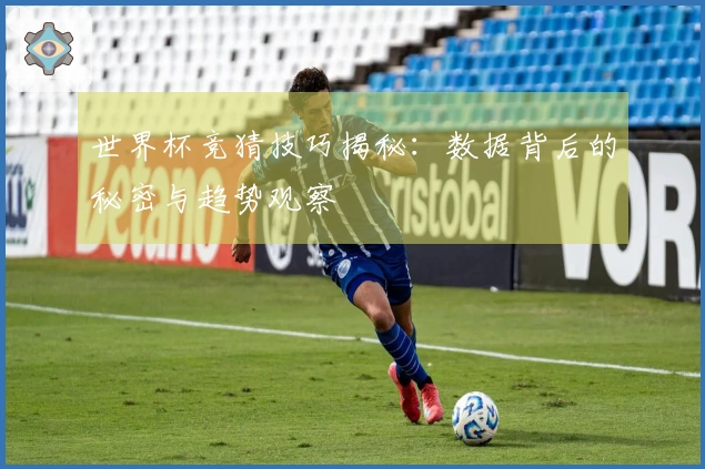 世界杯竞猜技巧揭秘：数据背后的秘密与趋势观察