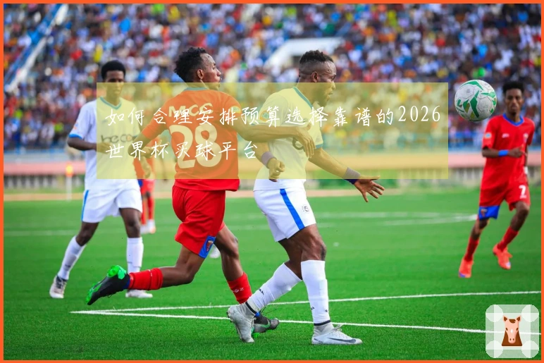 如何合理安排预算选择靠谱的2026世界杯买球平台